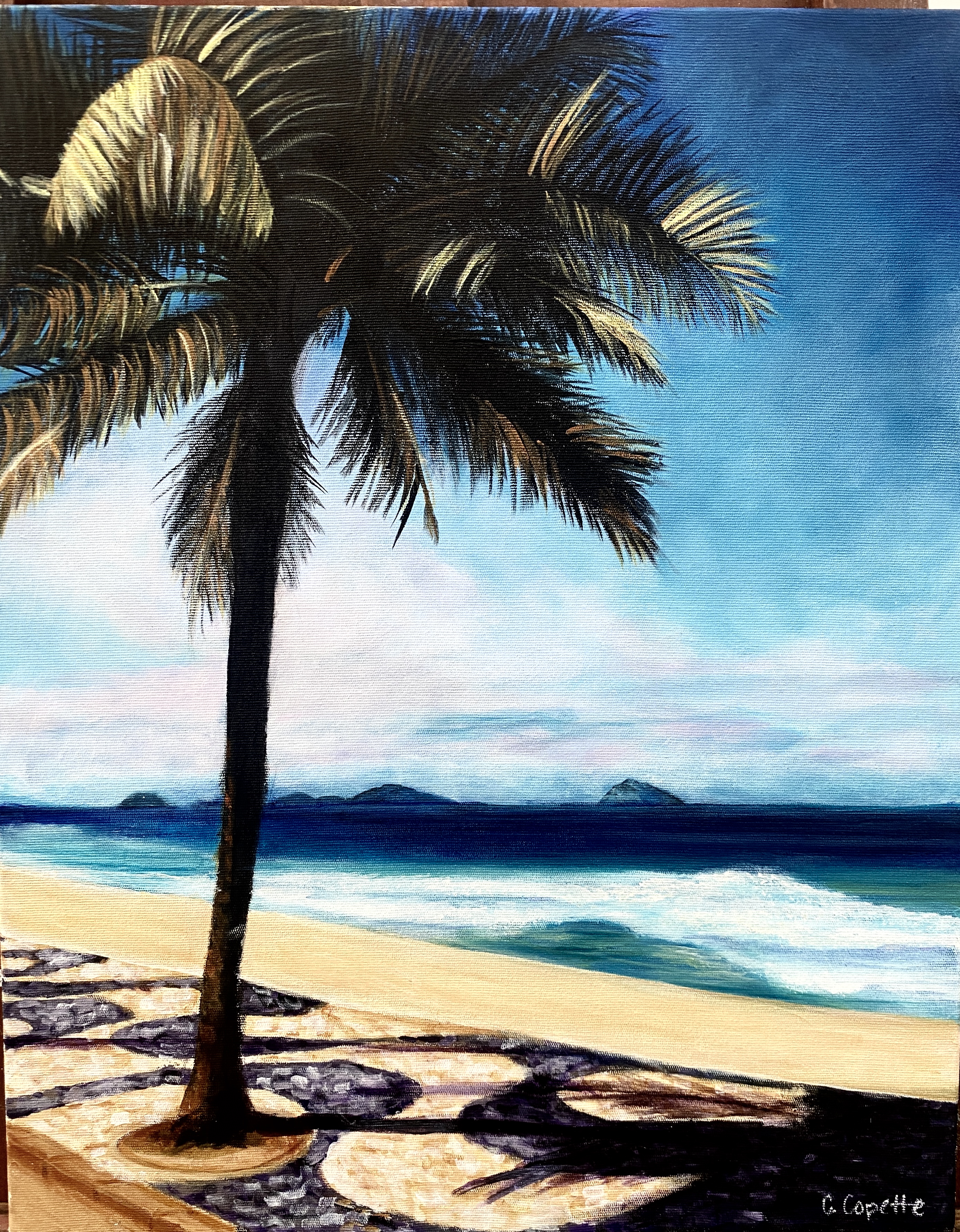 Rio - 40 x 50 Ast